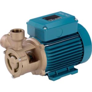 B-T Bronze Peripheral Booster Pump