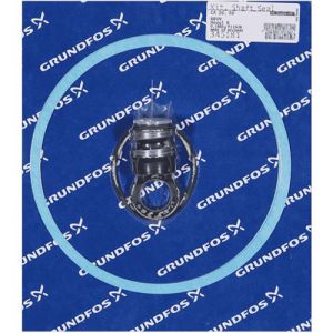 CR30 / 60 Shaft Seal And Gasket Kit (Viton Bellows Type) BBUV