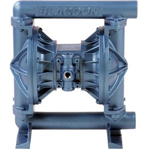 Blagdon X2505CABBBBS 1" Cast Iron Pump